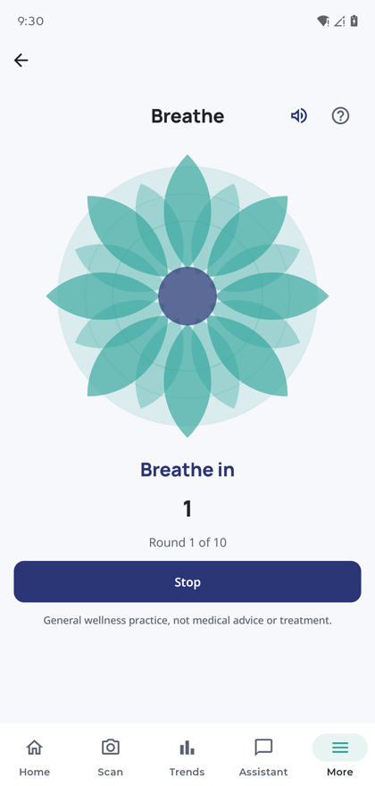 The guided breathing screen mid-session, showing an open petal animation with the prompt Breathe in, round 1 of 10.